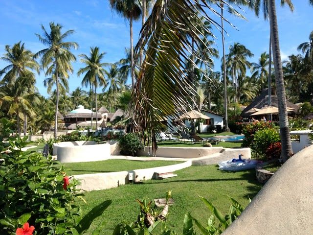 el Campamento Tortuguero Sayulita